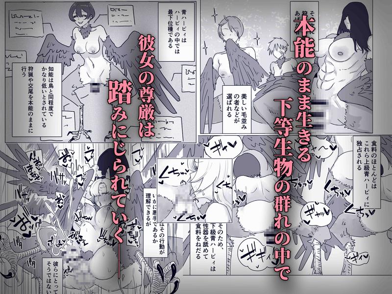 最強女騎士ふたなりハーピィ化- Sneak Peek 2